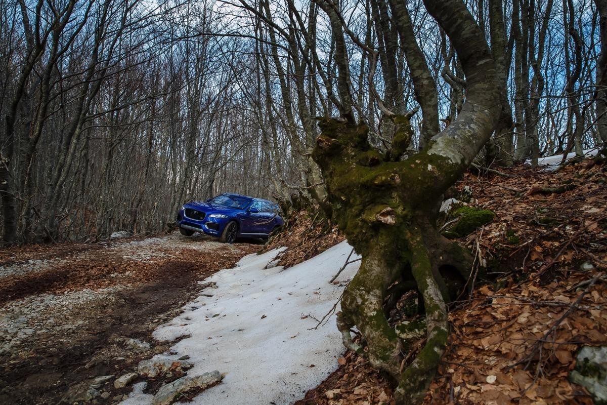 捷豹f-pace真实感受,捷豹f-pace麋鹿测试