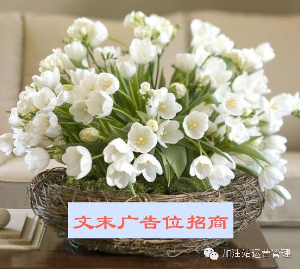 4月1日原油行情,4.14国际原油行情走势分析