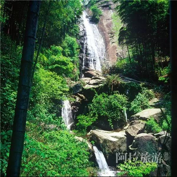 想喝上一杯好茶，绝对不能少了它|春日茶事1