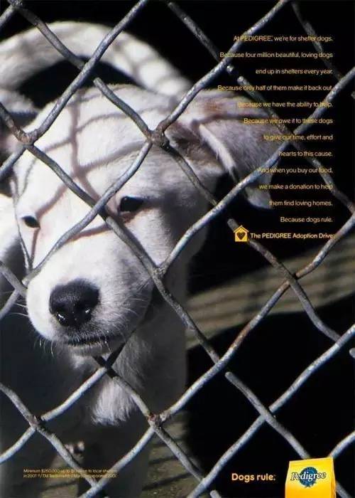 看完平面广告走过的这100年，你也能像马东一样让广告好玩起来