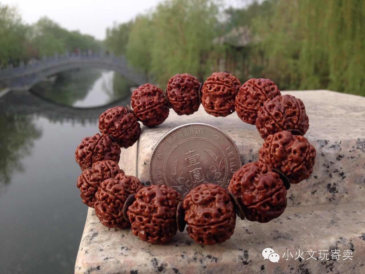 金刚与落地红,落地红对比金刚菩提