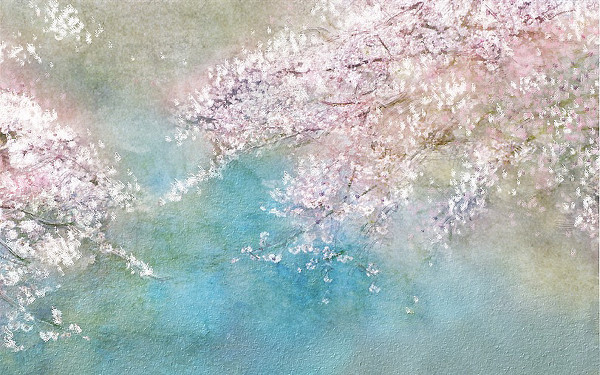 花开花落云卷云舒视频,花开花落云卷云舒什么意思