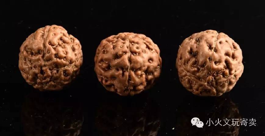 金刚与落地红,落地红对比金刚菩提