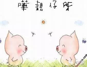 一周趣事片段,一周的趣事