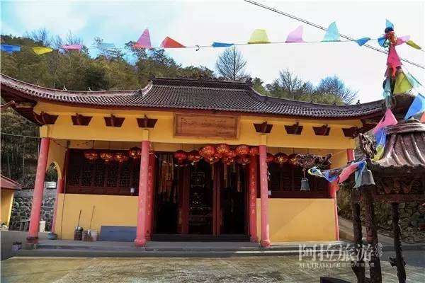 想喝上一杯好茶，绝对不能少了它|春日茶事1