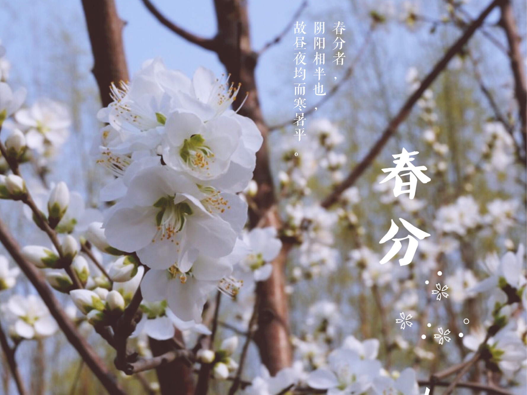 秀银川史上最牛的个人简历，看完感觉特有面子！