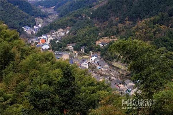 想喝上一杯好茶，绝对不能少了它|春日茶事1