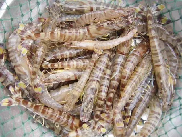 500元坐火车直达三亚！5月15日起本溪人去海南多了新选择！约起走吧！