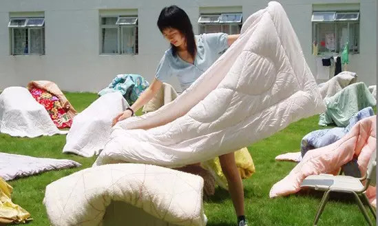 不用晒被子就能消灭螨虫,被褥上的螨虫真的很可怕吗