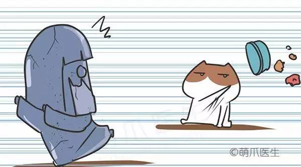 猫咪一直吃湿粮可以吗,猫粮干粮和湿粮能一起吃吗