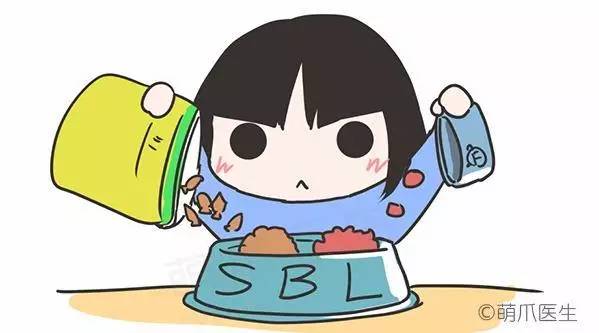 猫咪一直吃湿粮可以吗,猫粮干粮和湿粮能一起吃吗