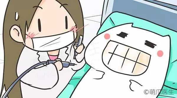 猫咪一直吃湿粮可以吗,猫粮干粮和湿粮能一起吃吗