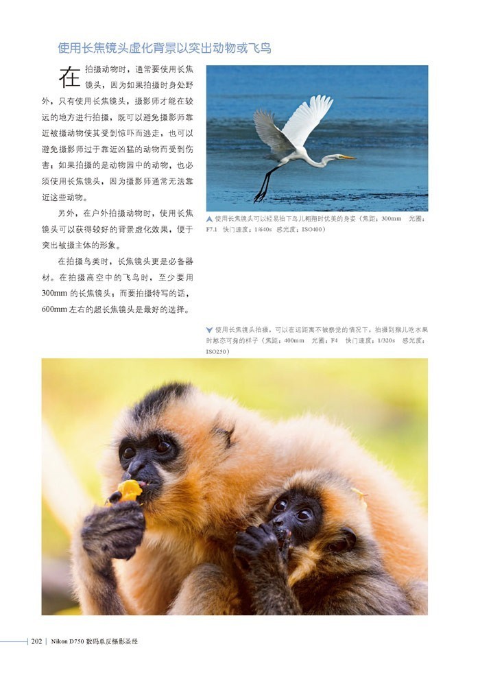 nikond700数码单反摄影完全攻略,nikon单反d750全画幅镜头推荐