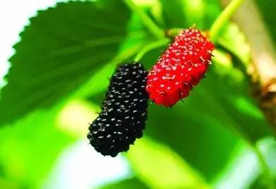 皮肤干燥口干舌燥缺什么维生素,干燥症口干吃什么药效果好