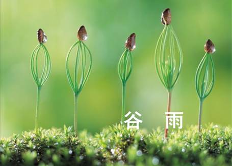 荷兰乳牛极膳营养奶粉提醒：谷雨养生，保一整年健康