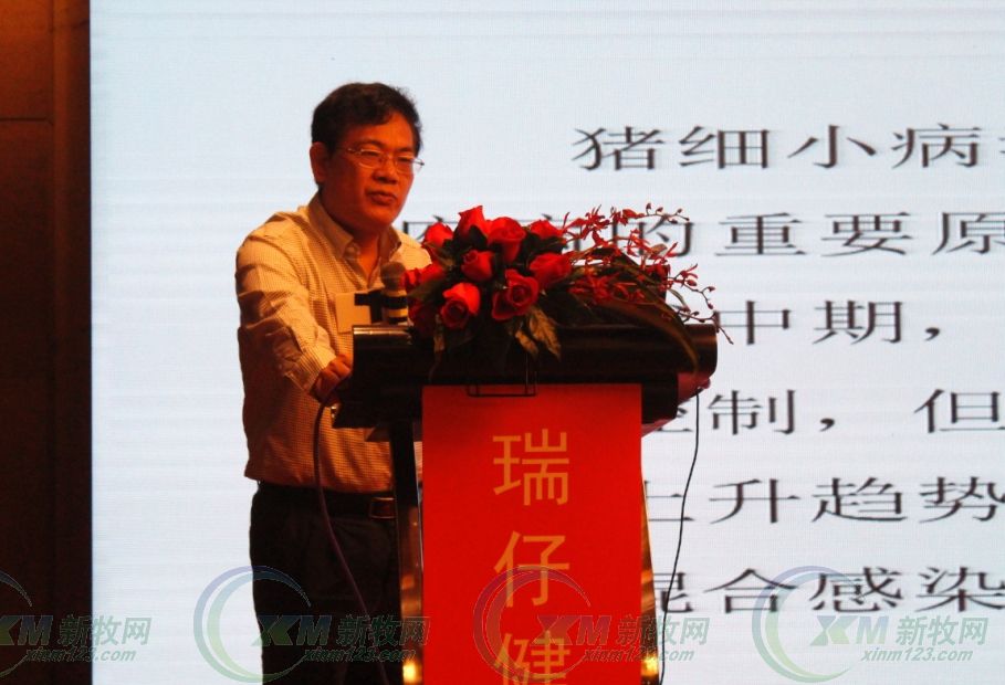 硕腾猪疫苗圆支二联多少钱,硕腾猪伪狂犬疫苗