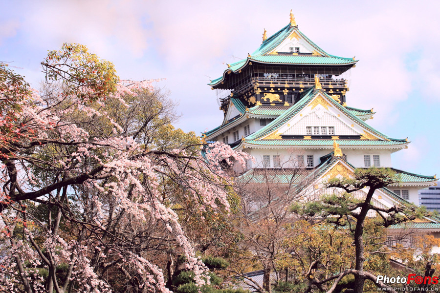 春之物语佳能EF70-300mmf4.0-5.6ISUSM日本猎影