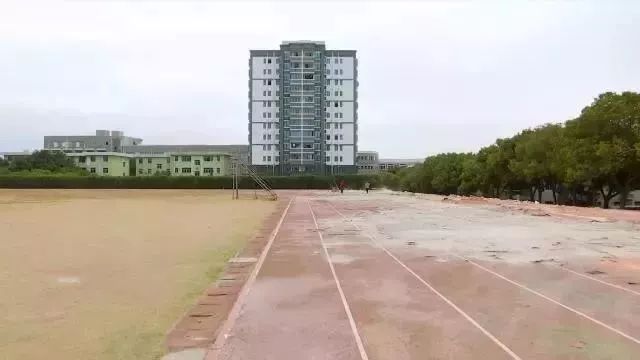 助力世中,助力世中运作品