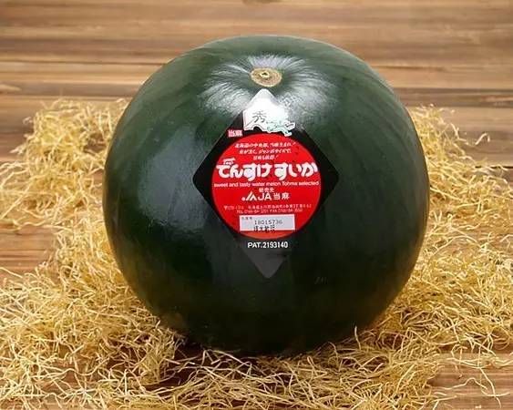 “果中爱马仕”！宁波这种本地桔子，店里一只卖20元！