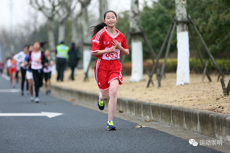 上海崇明马术锦标赛,迎新年环城长跑赛