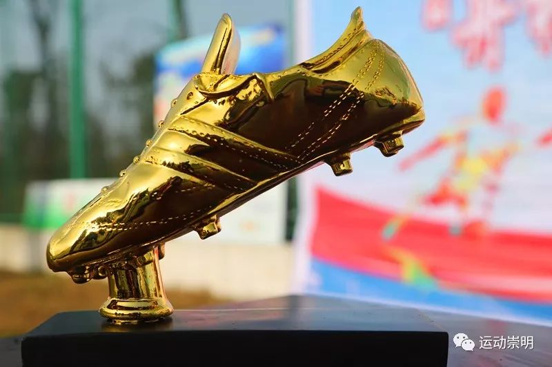 上海崇明马术锦标赛,迎新年环城长跑赛