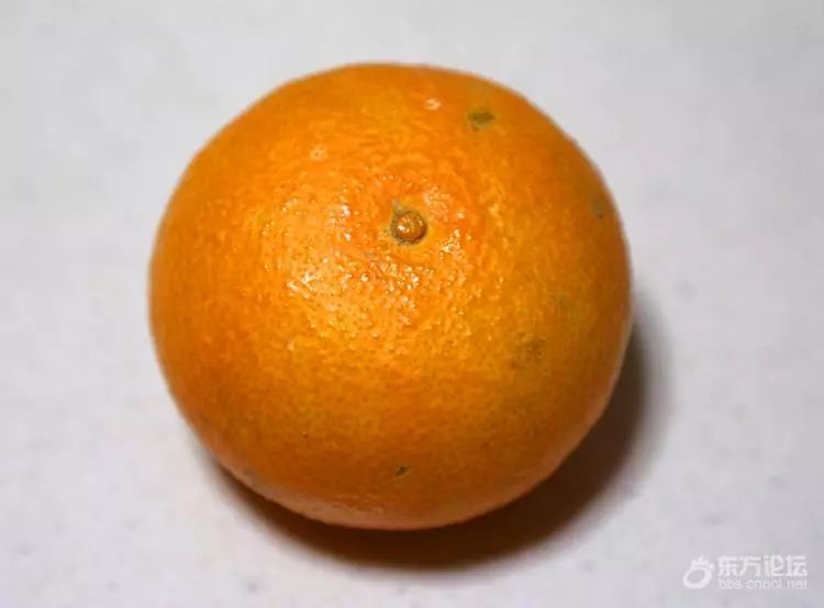 “果中爱马仕”！宁波这种本地桔子，店里一只卖20元！