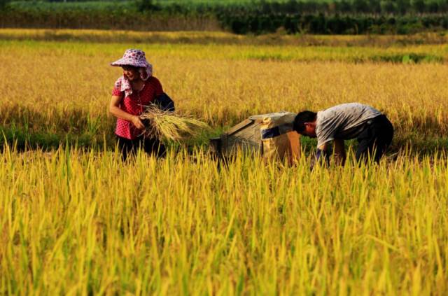 赣州补贴最新政策,赣州人每月补贴多少