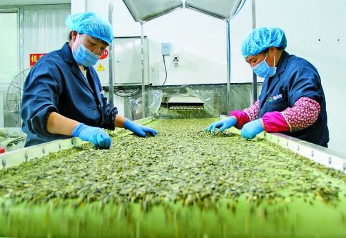 什么事情这么重要？内蒙古日报居然一下发了8个版！