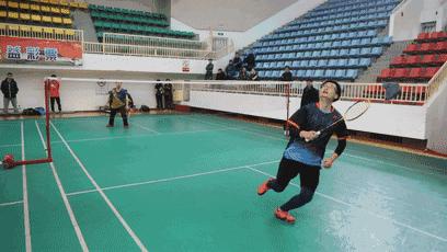 上海崇明马术锦标赛,迎新年环城长跑赛