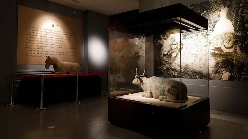 银川冬季风景优美的地方,银川冬天拍照好看的地方