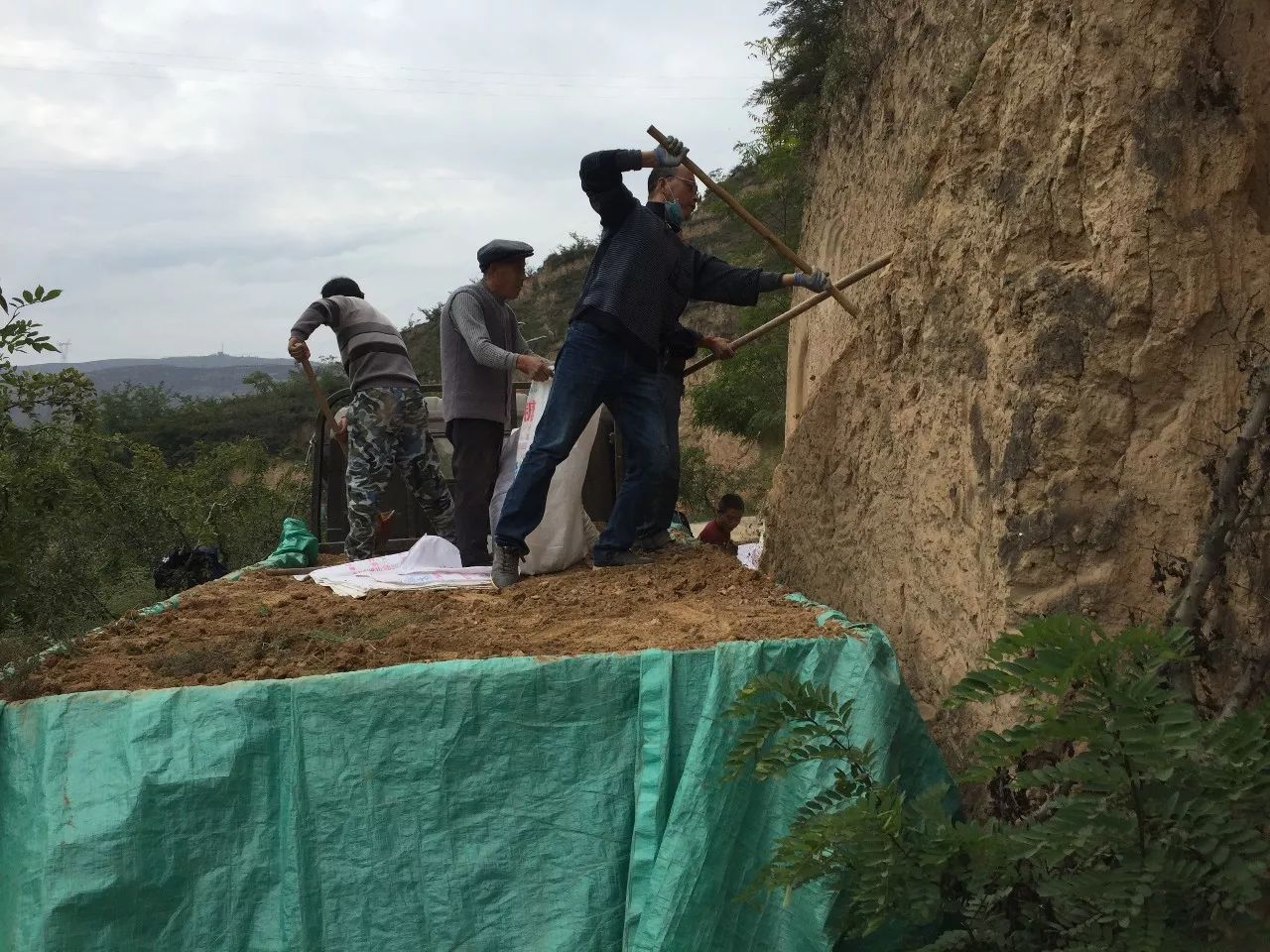 凤凰艺术,凤凰艺术是怎么来的