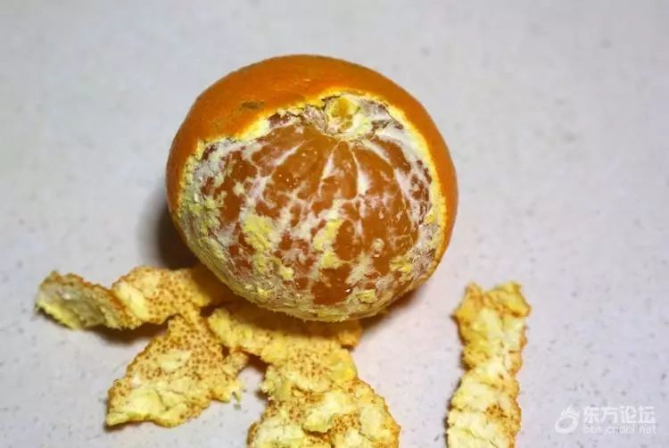 “果中爱马仕”！宁波这种本地桔子，店里一只卖20元！