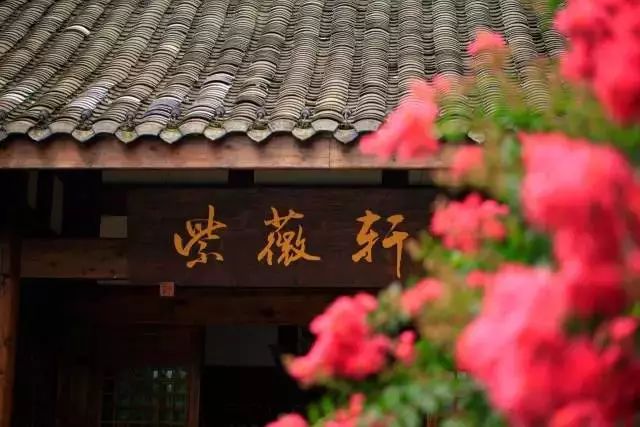 一个酸奶厂的利润有多大,一个酸奶小工厂