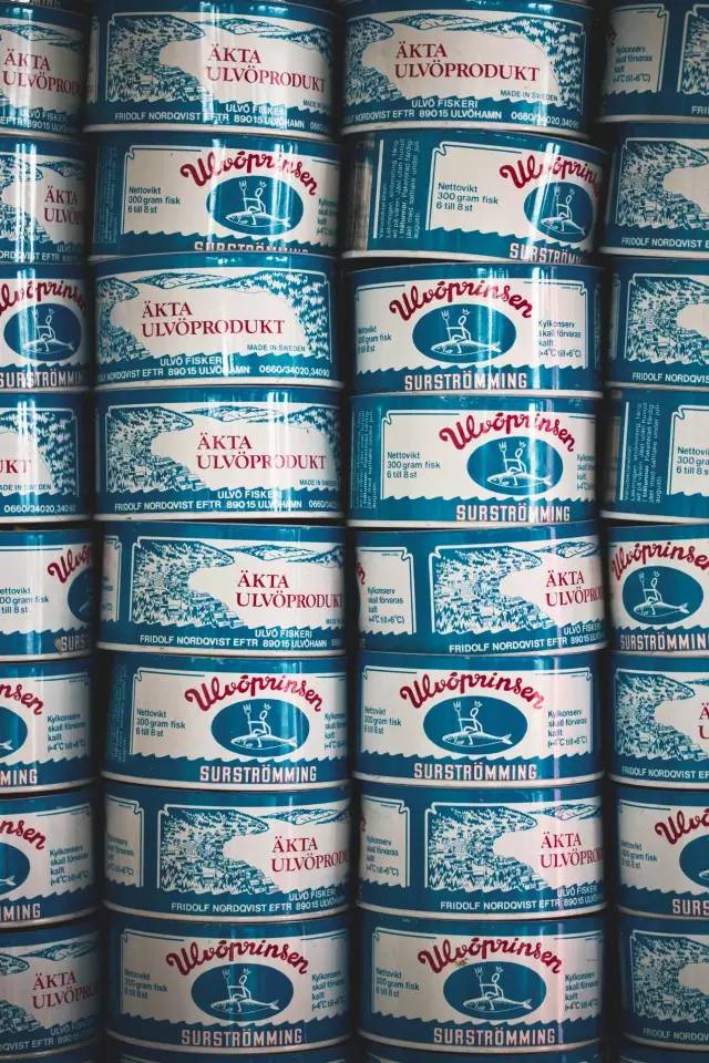 它是宜家和HM的故乡，景美福利高，简直就是梦想中的国度！