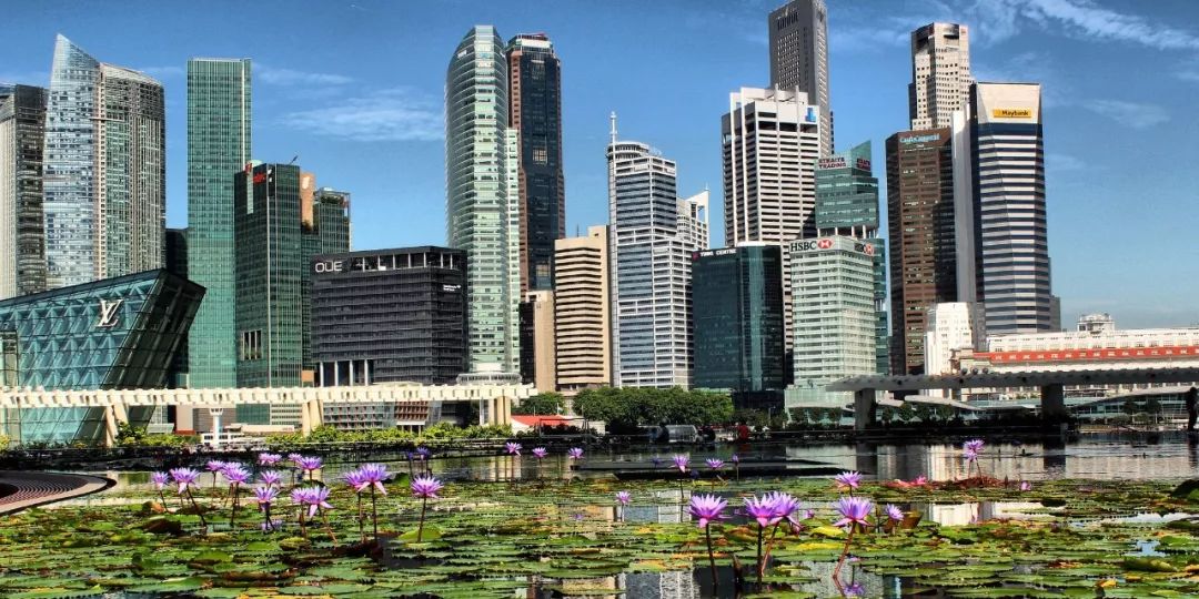 东南亚金融科技的未来发展,东南亚中国崛起