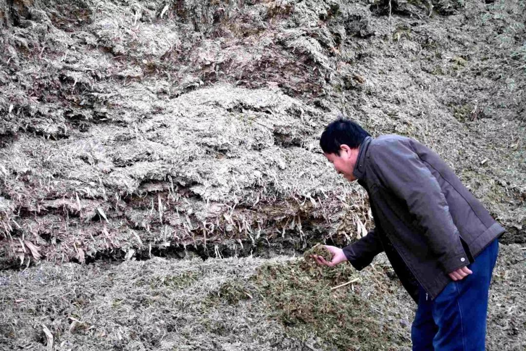 奈曼旗新闻最新今天,奈曼2018.02.14新闻