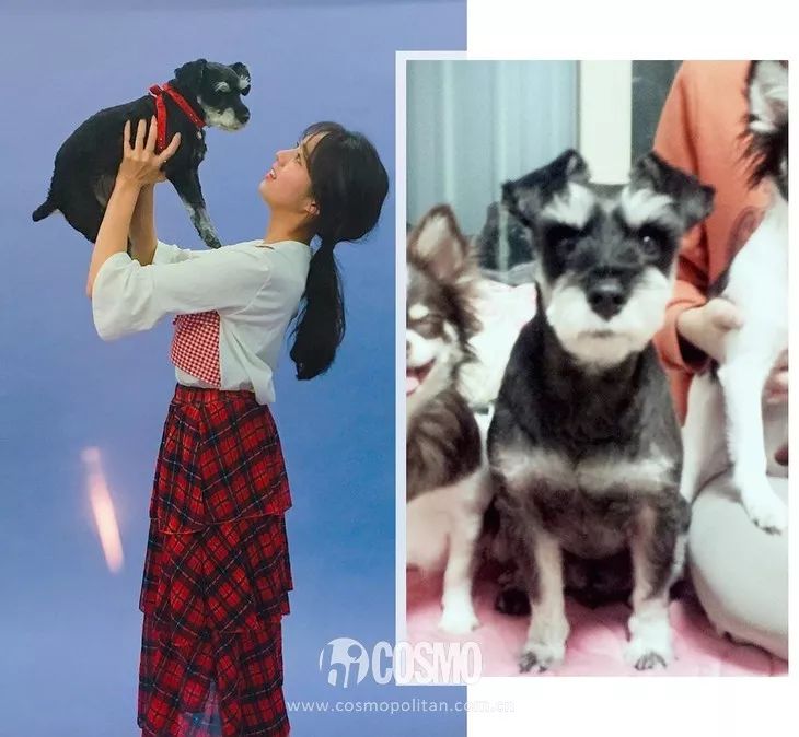 蔡秀彬变美思路,蔡秀彬不是机器人剧照