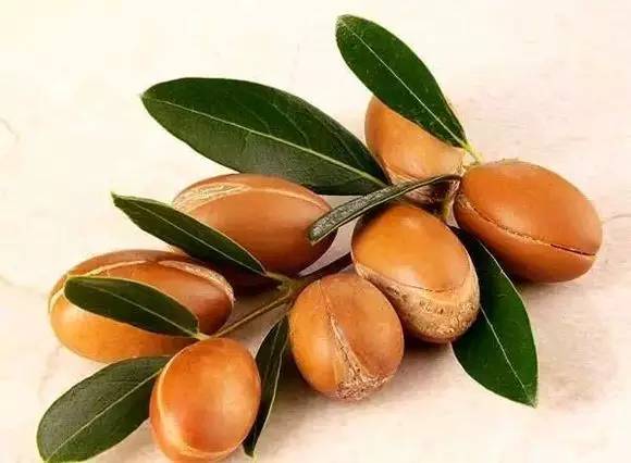 “果中爱马仕”！宁波这种本地桔子，店里一只卖20元！