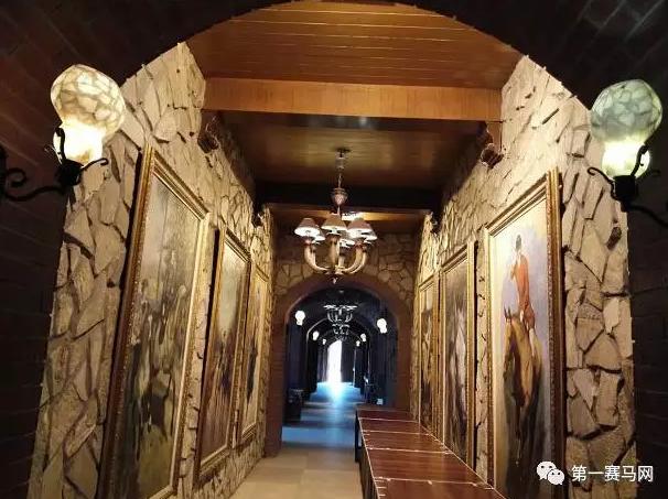 林晓彬：月底开放动物亲子乐园将引进夜间马术表演