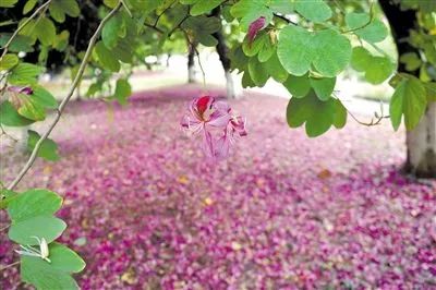 广州地铁10条新线进度,广州地铁新线进度