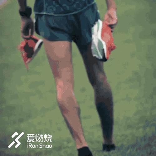 箱根驿传|豪取四连胜青山学院大学的箱根四年