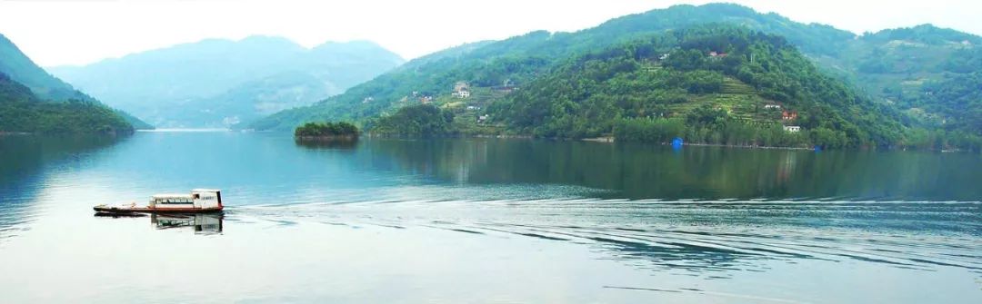 快看油价大变化,油价终于降了车主请关注