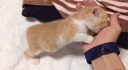 囧叔吐槽,囧吐槽