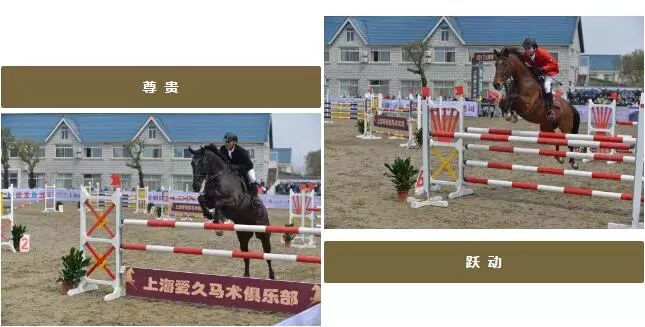 上海崇明马术锦标赛,迎新年环城长跑赛