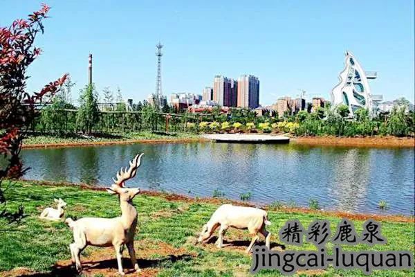 大揭秘！2018咱鹿泉咋发展，一起来听听国芳书记怎么说……