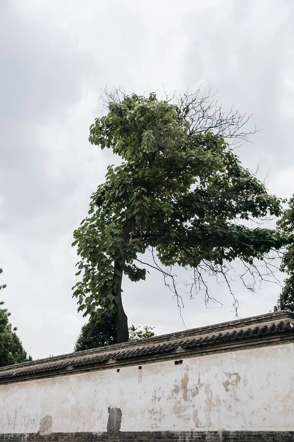 锦州、西安、温州：三位中国设计师从世界回归故乡