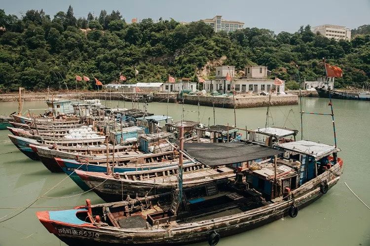 锦州、西安、温州：三位中国设计师从世界回归故乡