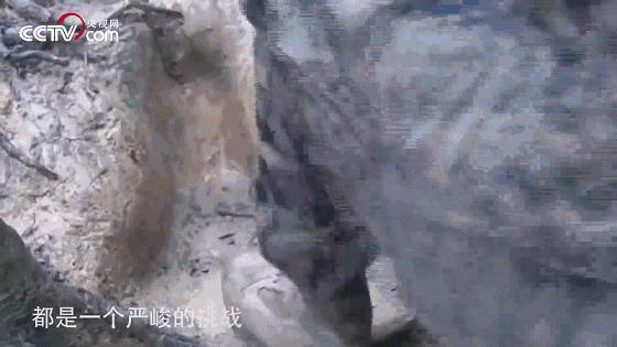 揭秘丛林战场，为什么很多军事行动都发生在丛林区？