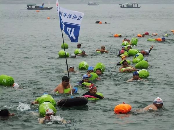 快看油价大变化,油价终于降了车主请关注