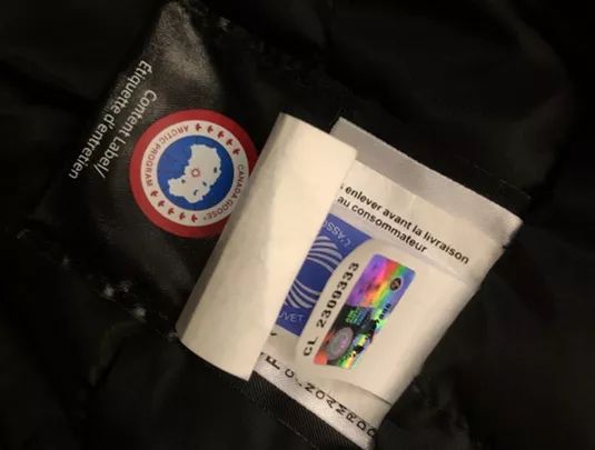 鎶勮鐨勬渶楂樺鐣屾湁澶氶珮,canadagoose